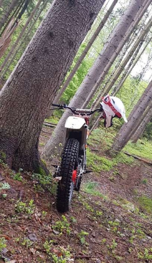 Fantic sonstige Modelle Fantic 245 in rostfreiem Zustand Baujahr BJ 01/1989