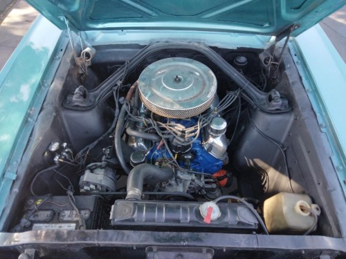 Ford Mustang 289cid Coupe eingeschränkt fahrbar Baujahr BJ 07/1964