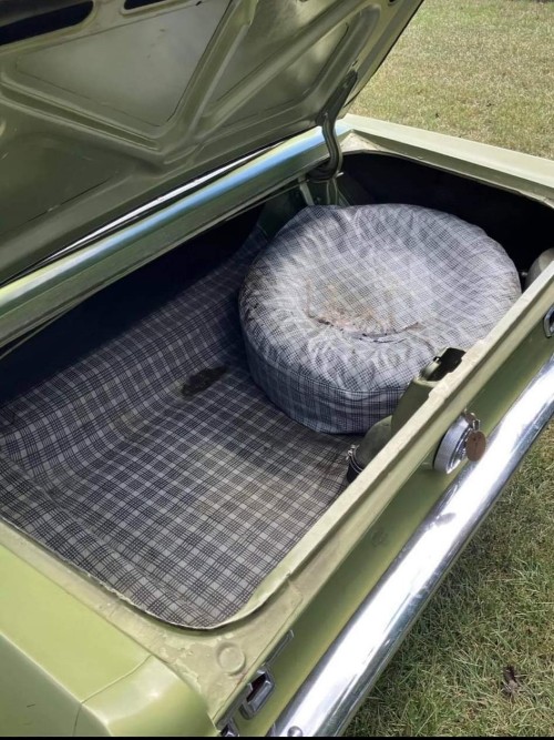 Ford Mustang gut erhalten Baujahr BJ 06/1967