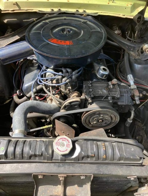 Ford Mustang gut erhalten Baujahr BJ 06/1967