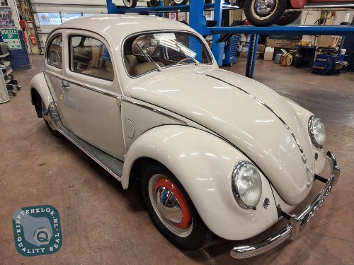 VW Käfer Brezel kaefer gut erhalten abzugeben Baujahr BJ 04/1951