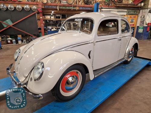 VW Käfer Brezel kaefer gut erhalten abzugeben Baujahr BJ 04/1951