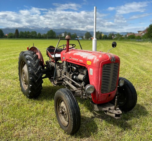 Massey Ferguson MF 35 in rostfreiem Zustand abzugeben Baujahr BJ 07/1961