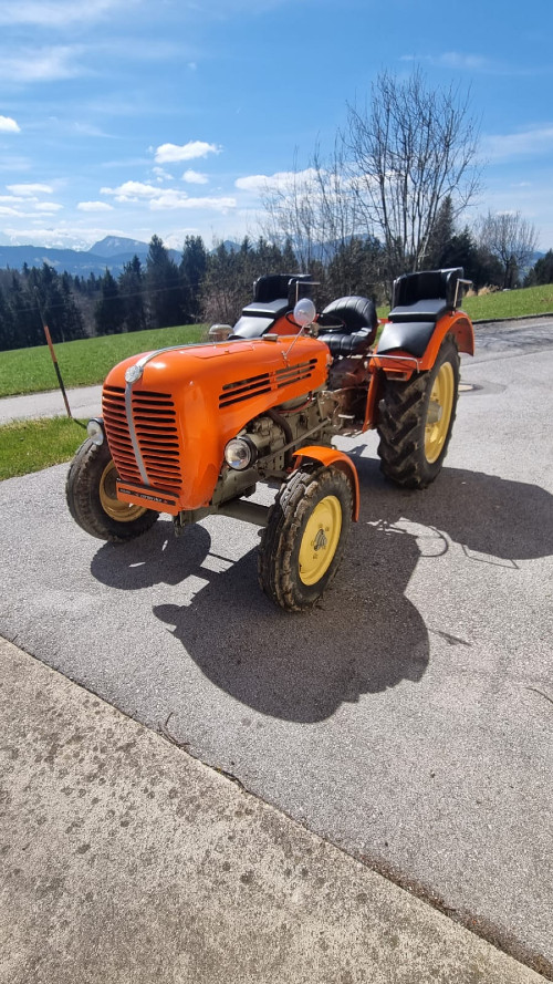 1964er Steyr 190 Steyr Diesel Traktor Typ 190 mit gültigem Pickerl Baujahr BJ 03/1964