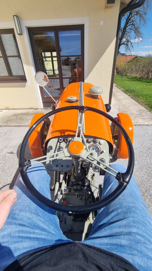 1964er Steyr 190 Steyr Diesel Traktor Typ 190 mit gültigem Pickerl Baujahr BJ 03/1964