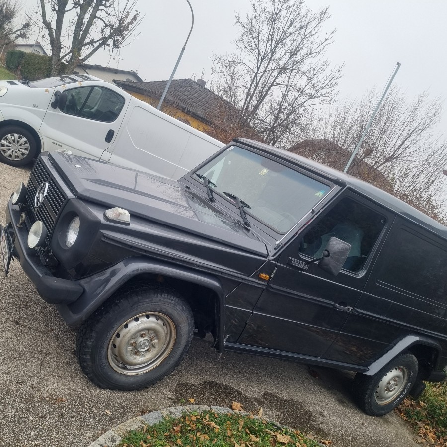 Puch G in rostfreiem Zustand abzugeben Baujahr BJ 12/1983