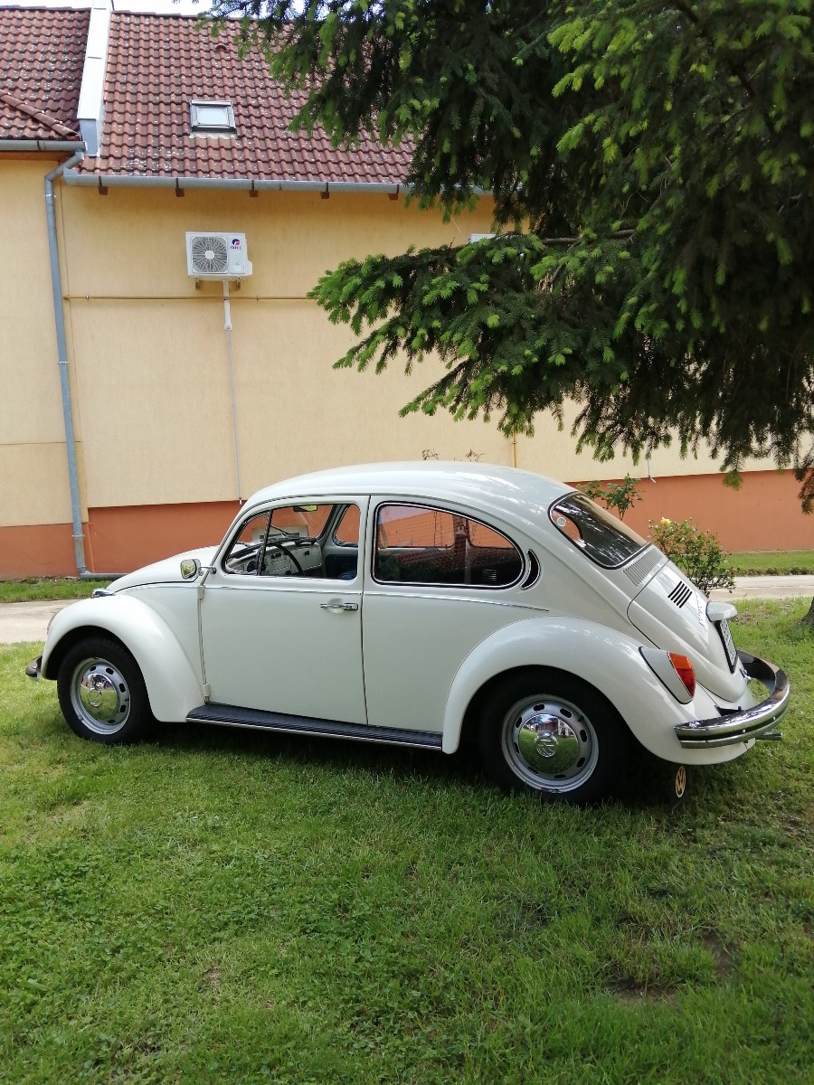 VW Käfer in gutem Zustand abzugeben sucht neuen Besitzer Baujahr BJ 03/1971