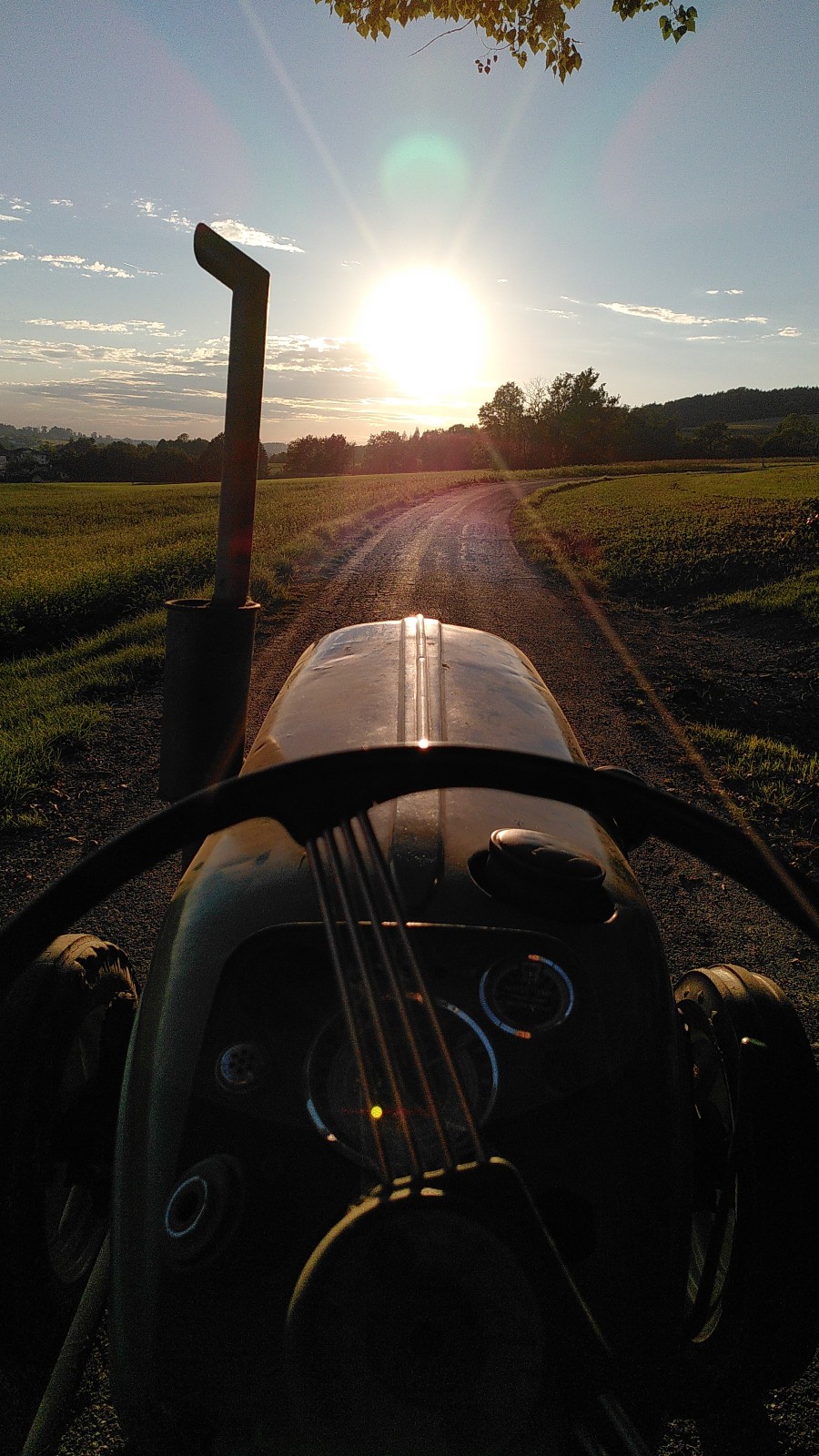 Deutz sonstige Modelle D55 (luftgekühlt) in gutem Zustand abzugeben Baujahr BJ 03/1964