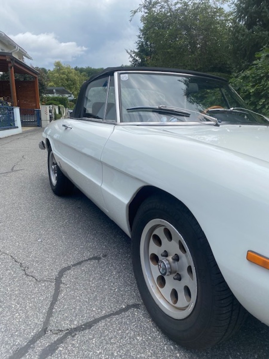 Alfa Romeo Spider in Originalzustand zu verkaufen Baujahr BJ 01/1976