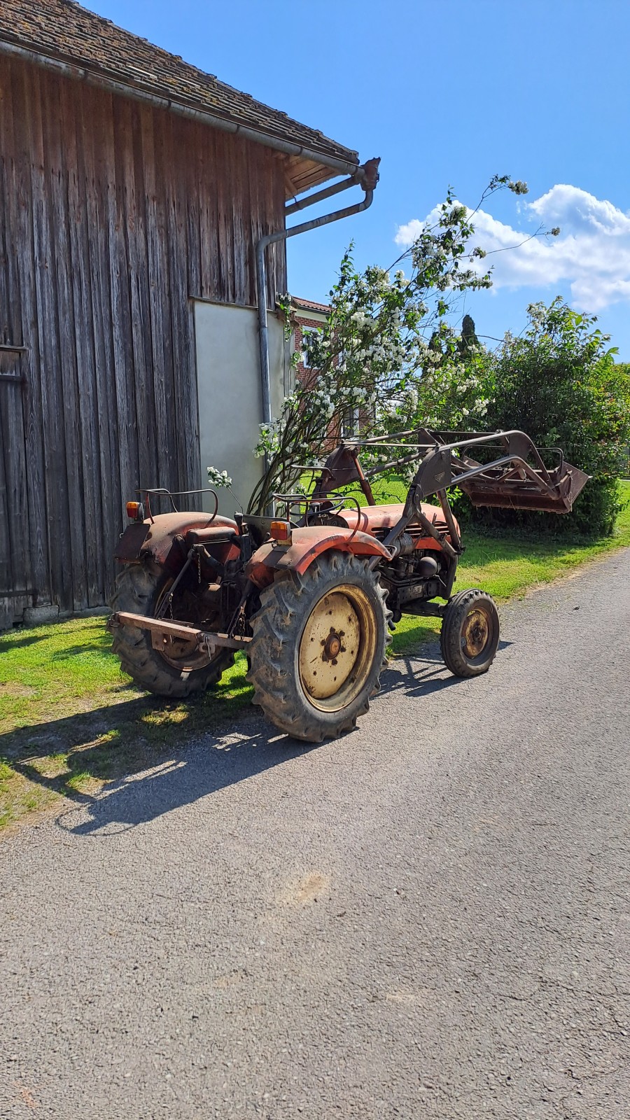Steyr 188 Steyr Traktor Typ 188 eingeschränkt fahrbar zu verkaufen Baujahr BJ 12/1960