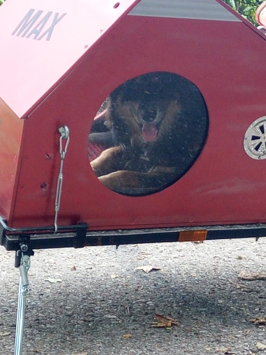 Suzuki sonstige Modelle VS800 Intruder mit Anhänger Baujahr BJ 03/1992