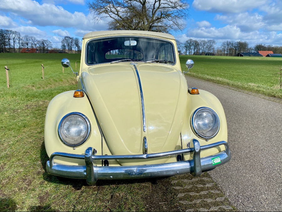 VW Käfer guter Zustand Baujahr BJ 02/1966