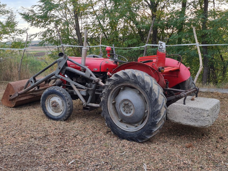 Massey Ferguson sonstige Modelle gut erhalten abzugeben Baujahr BJ 07/1961