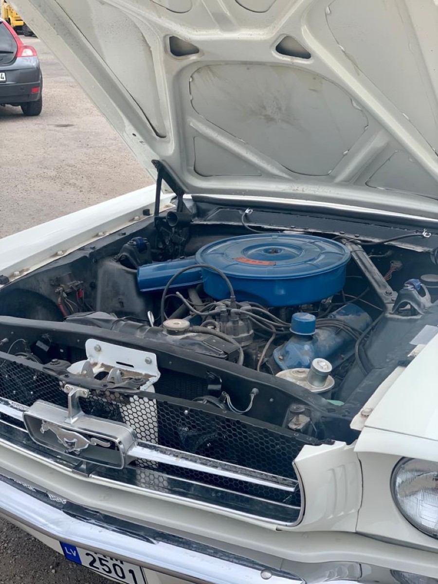 Klassiker Ford Mustang Baujahr BJ 05/1965