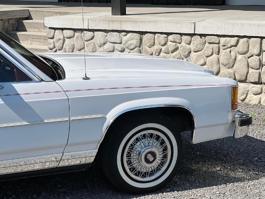 Ford LTD guter Zustand sucht neuen Besitzer Baujahr BJ 01/1985
