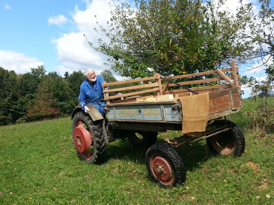 Eicher Geräteträger Eicher Muli Geräteträger 13 PS zu verkaufen Baujahr BJ 10/1957