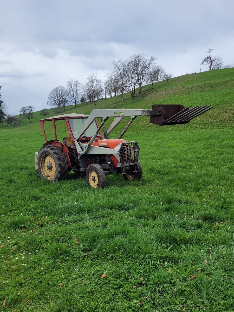 Zu verkaufen: Steyr 190 Steyr Traktor 190 gut erhalten Baujahr BJ 11/1965