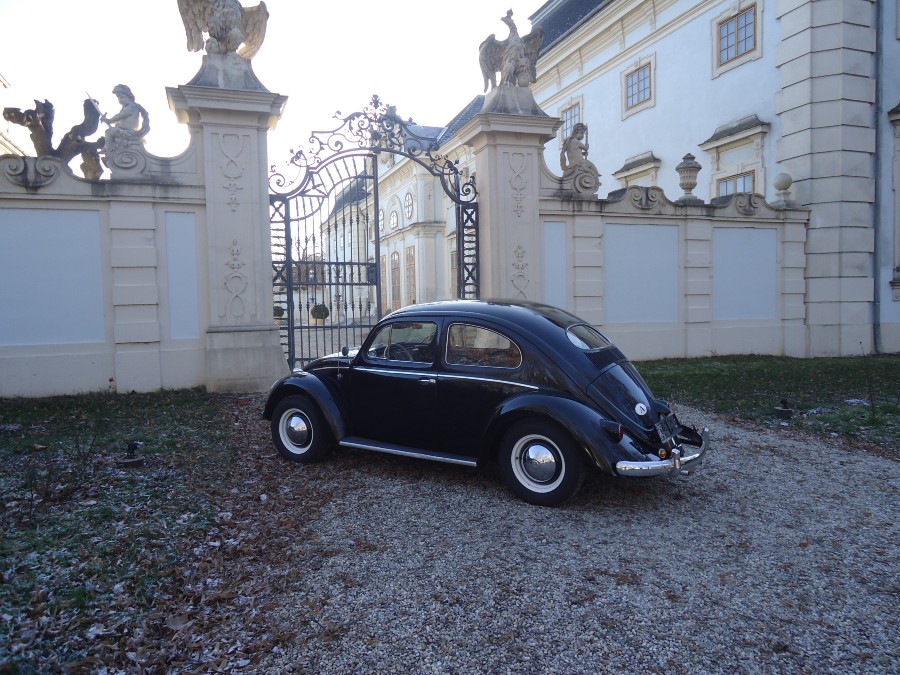 VW Käfer Typ 11 Luxus Ovali zu verkaufen Baujahr BJ 07/1957