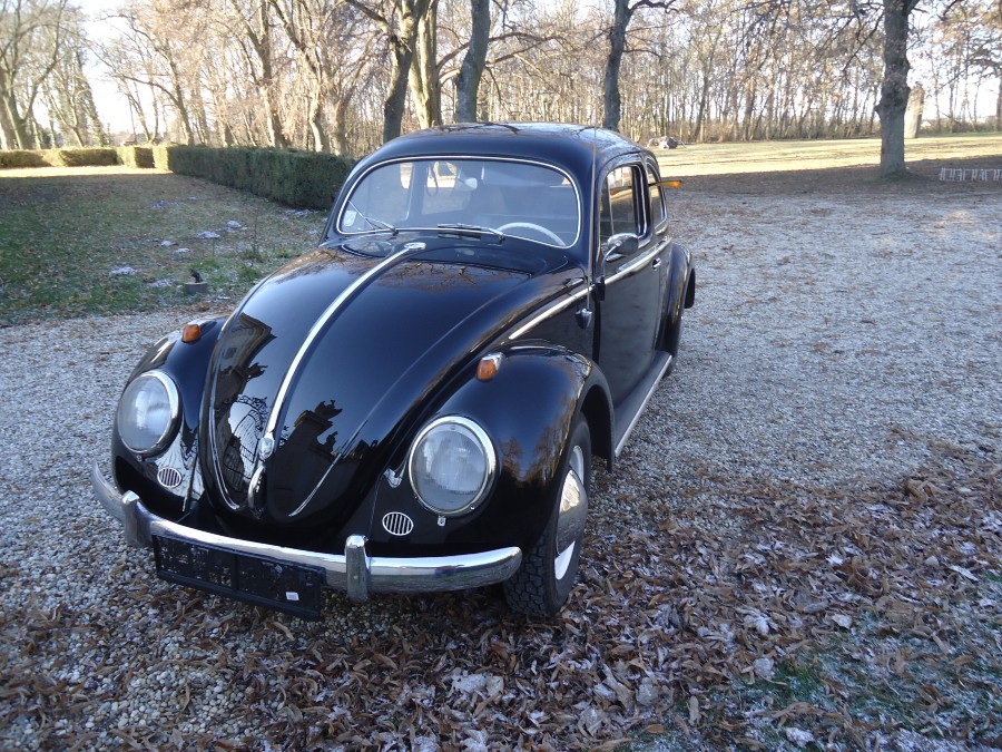 VW Käfer Typ 11 Luxus Ovali zu verkaufen Baujahr BJ 07/1957