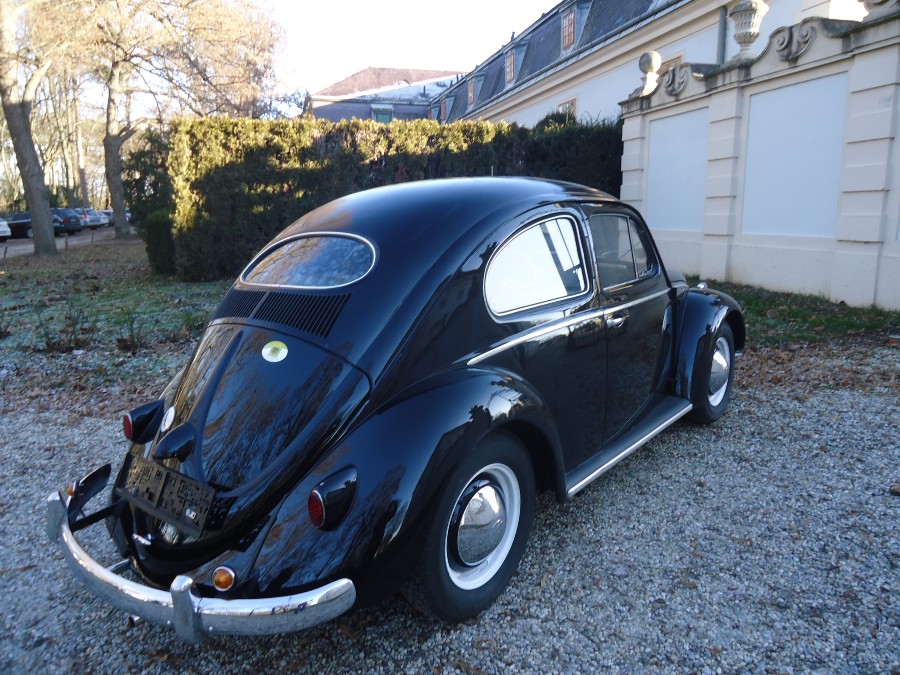 VW Käfer Typ 11 Luxus Ovali zu verkaufen Baujahr BJ 07/1957