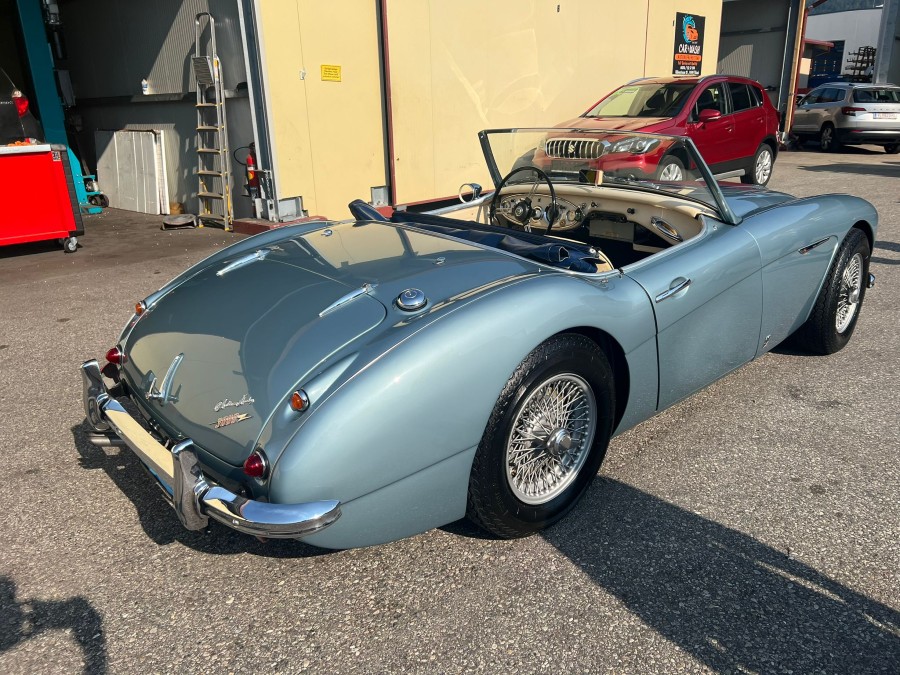 Biete Austin Healey 3000 BN7 MKI guter Zustand zu verkaufen Baujahr BJ 06/1959