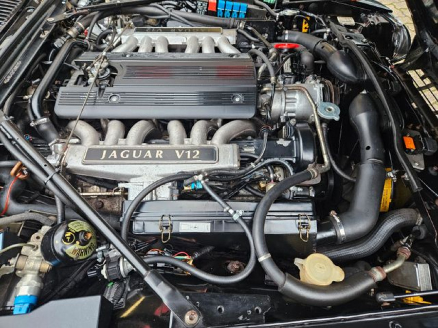Jaguar XJS 6.0 Liter absoluter Sammler Zustand 1.te Han Baujahr BJ 08/1993