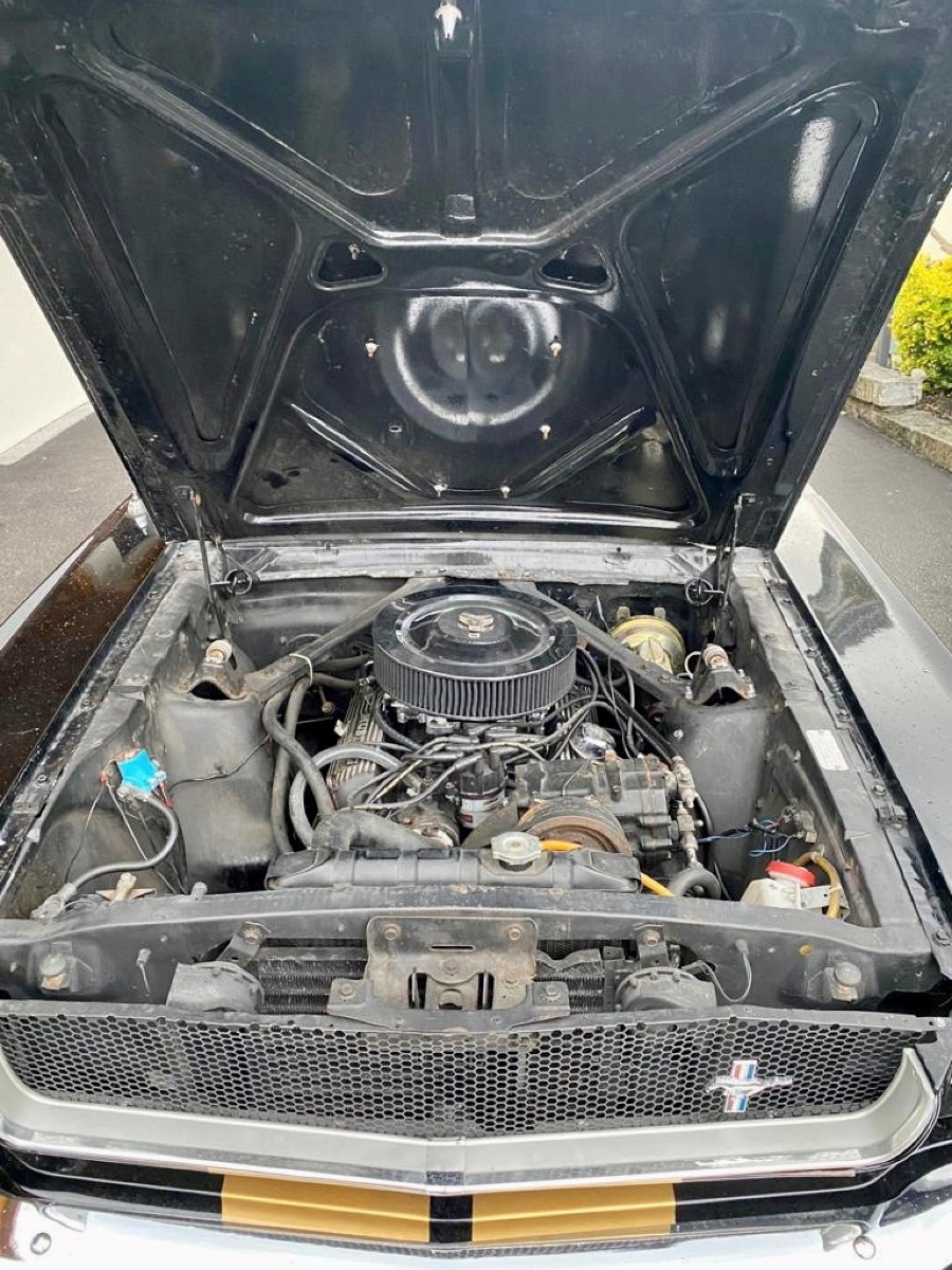 Ford Mustang Fastback zu verkaufen Baujahr BJ 04/1965