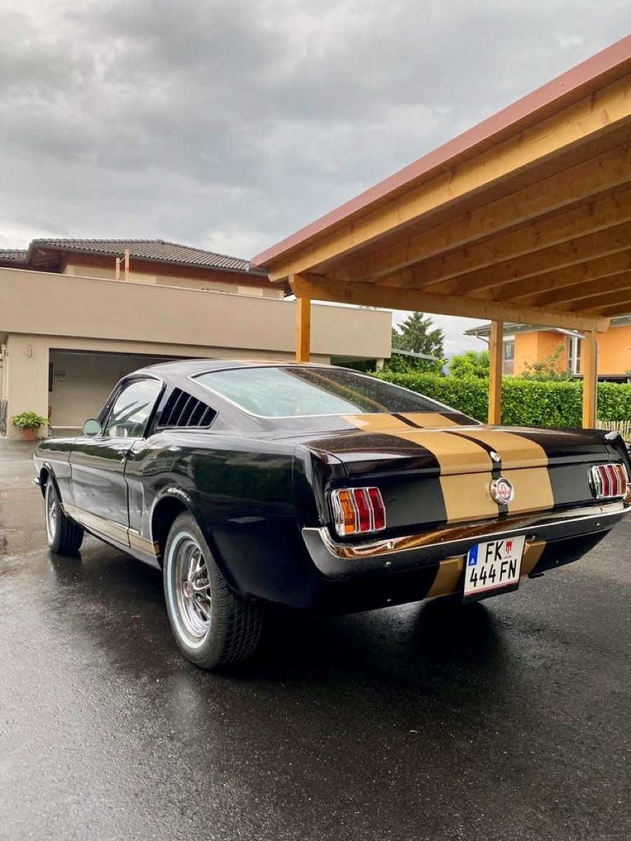 Ford Mustang Fastback zu verkaufen Baujahr BJ 04/1965