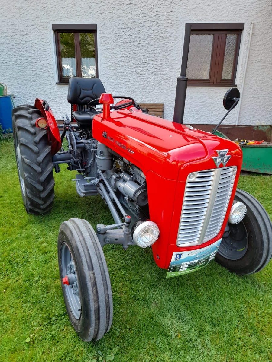 Wunderschön: Massey Ferguson MF 35 Baujahr BJ 08/1963