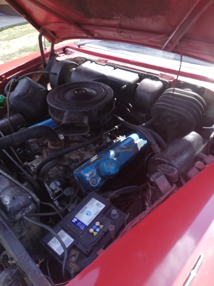 Chrysler Plymouth Belvedere Baujahr BJ 01/1958