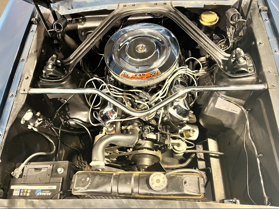 Wunderschön: Ford Mustang Fastback K-Code mit niedriger Laufleistung Baujahr BJ 01/1965