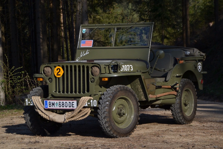 Gebraucht: Jeep Willys in gutem Zustand mit gültigem Pickerl Baujahr BJ 10/1943