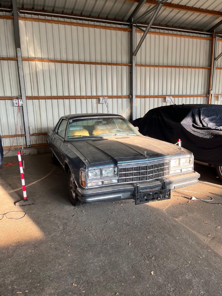 Oldtimer Dodge Diplomat Meallion in Sammlerzustand Baujahr BJ 01/1979