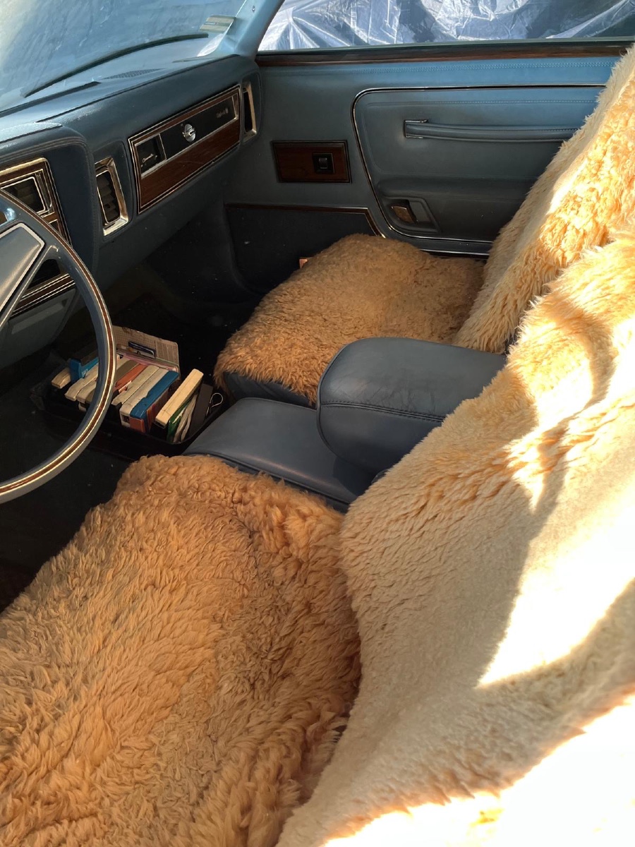 Oldtimer Dodge Diplomat Meallion in Sammlerzustand Baujahr BJ 01/1979