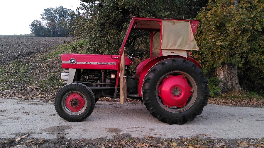 Massey Ferguson MF 135 guter Zustand Baujahr BJ 01/1965