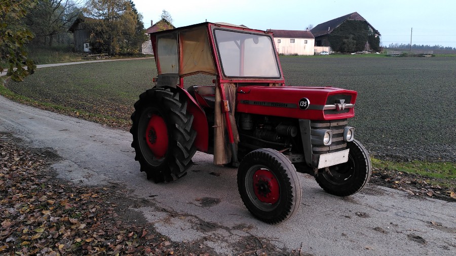 Massey Ferguson MF 135 guter Zustand Baujahr BJ 01/1965
