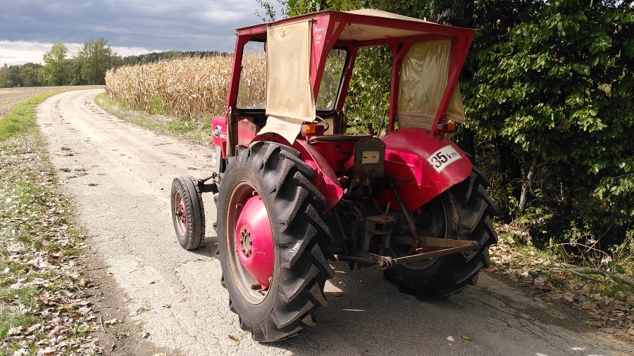 Massey Ferguson MF 135 guter Zustand Baujahr BJ 01/1965
