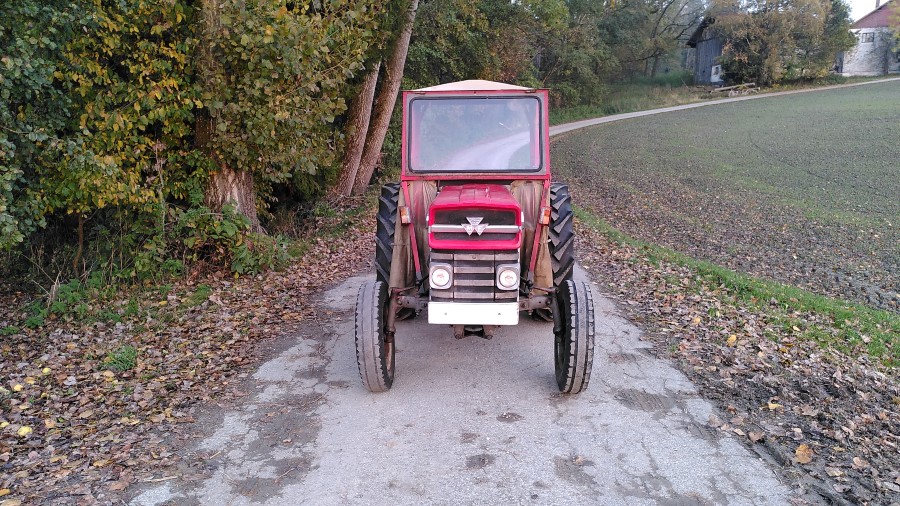 Massey Ferguson MF 135 guter Zustand Baujahr BJ 01/1965