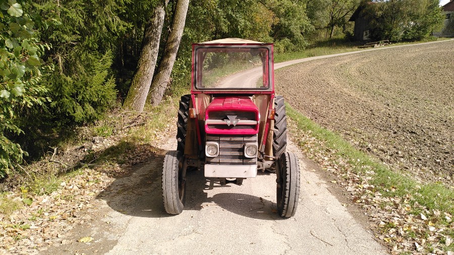 Massey Ferguson MF 135 guter Zustand Baujahr BJ 01/1965