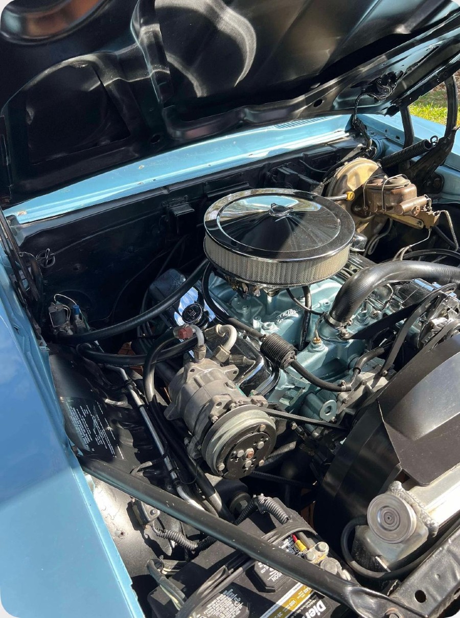 Pontiac Firebird guter Zustand sucht neuen Besitzer Baujahr BJ 11/1969