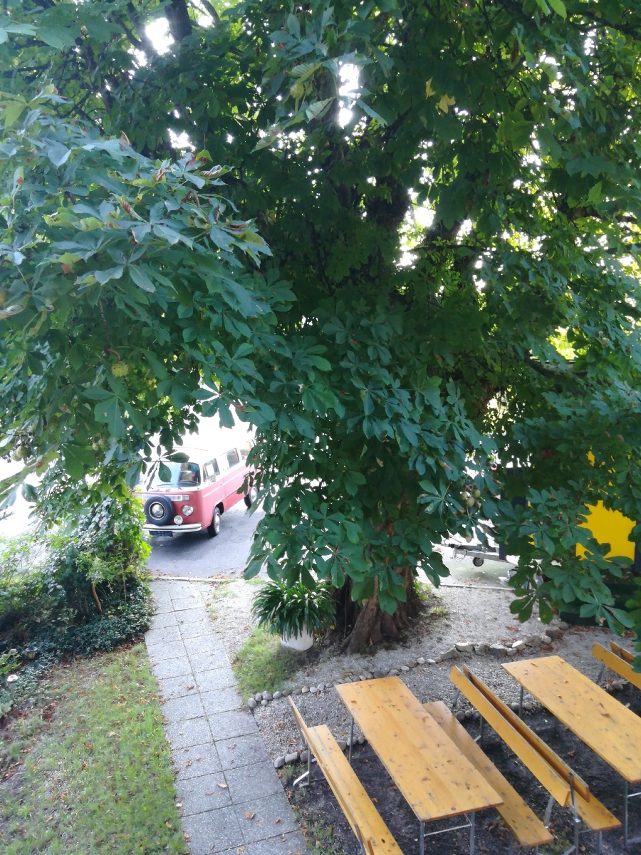 Klassiker VW T2 Baujahr BJ 05/1977