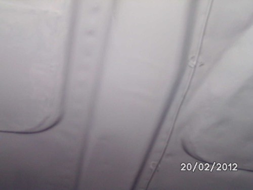 BMW 700 mit Mängeln Baujahr BJ 09/1960