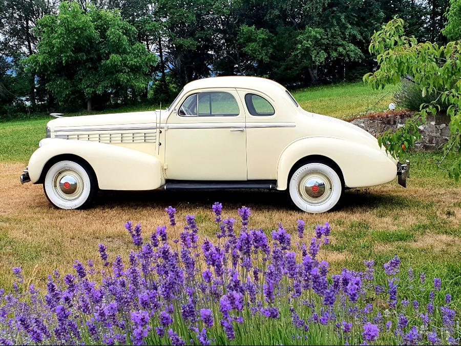 Cadillac Lasalle Opera Coupe in gutem Zustand wenig gelaufen Baujahr BJ 06/1938