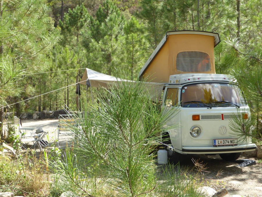 VW T2 Westfalia original Campingausstattung gut erhalten Baujahr BJ 09/1975