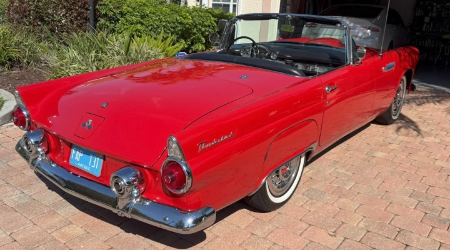 Ford Thunderbird 1955 Cabrio „SHOW QUALITÄT“ Baujahr BJ 07/1955