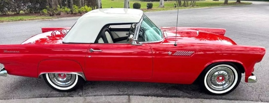 Ford Thunderbird 1955 Cabrio „SHOW QUALITÄT“ Baujahr BJ 07/1955