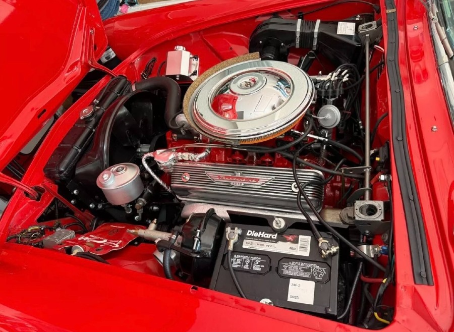 Ford Thunderbird 1955 Cabrio „SHOW QUALITÄT“ Baujahr BJ 07/1955