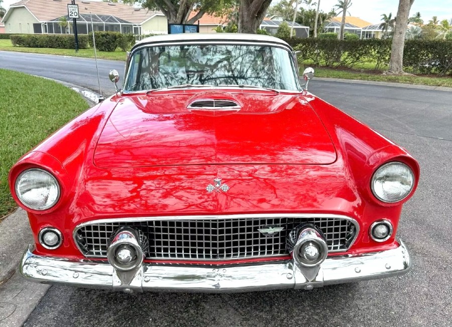 Ford Thunderbird 1955 Cabrio „SHOW QUALITÄT“ Baujahr BJ 07/1955