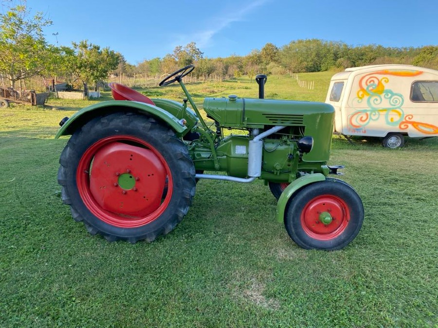 Oldtimer Fendt Dieselross F24 in gebrauchtem Zustand Baujahr BJ 06/1954