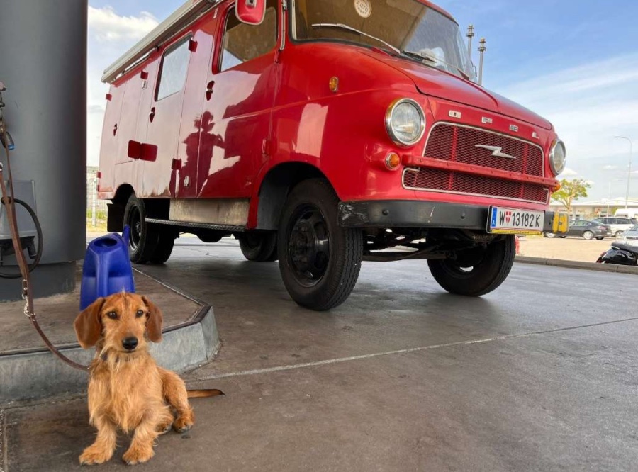 Opel Blitz guter Zustand sucht neuen Besitzer Baujahr BJ 04/1962